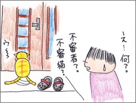 f:id:chai-ko:20190616192256j:plain