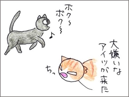 f:id:chai-ko:20190621203105j:plain