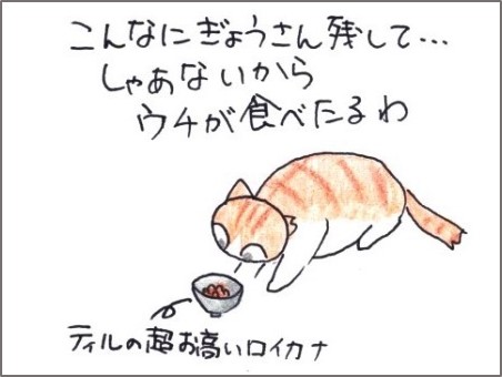 f:id:chai-ko:20190621203118j:plain