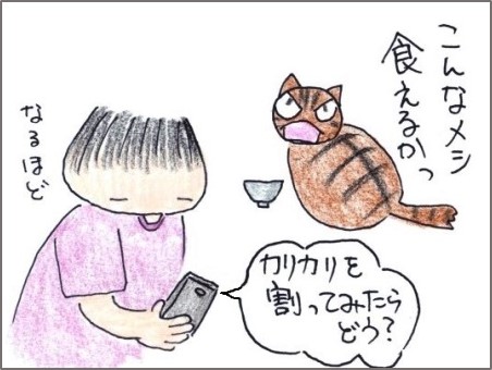 f:id:chai-ko:20190622193337j:plain