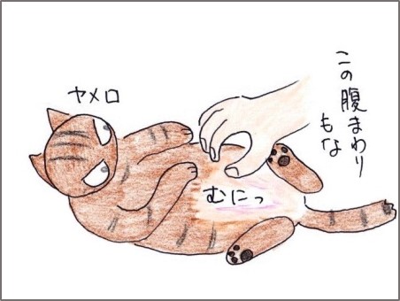 f:id:chai-ko:20190705201522j:plain
