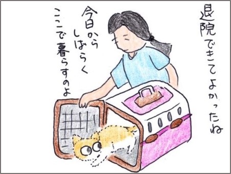 f:id:chai-ko:20190928141403j:plain f:id:chai-ko:20190928141403j:plain