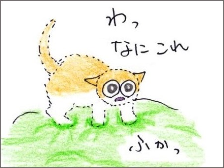 f:id:chai-ko:20190930193457j:plain