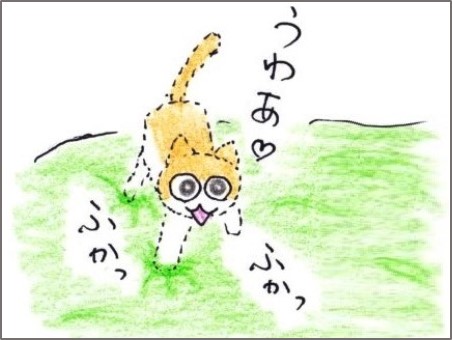 f:id:chai-ko:20190930193500j:plain