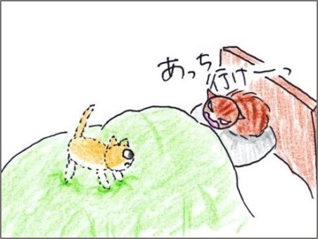 f:id:chai-ko:20190930193508j:plain