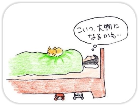 f:id:chai-ko:20190930193542j:plain