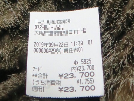 f:id:chai-ko:20190930194331j:plain