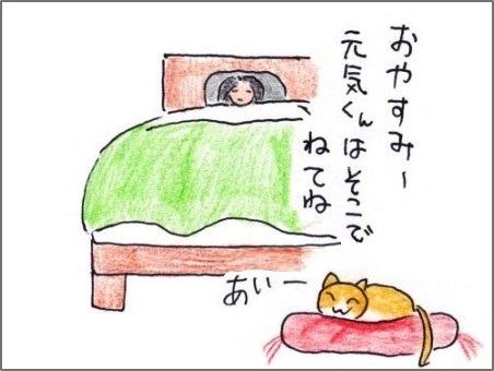 f:id:chai-ko:20191006194537j:plain