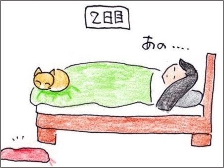 f:id:chai-ko:20191006194539j:plain