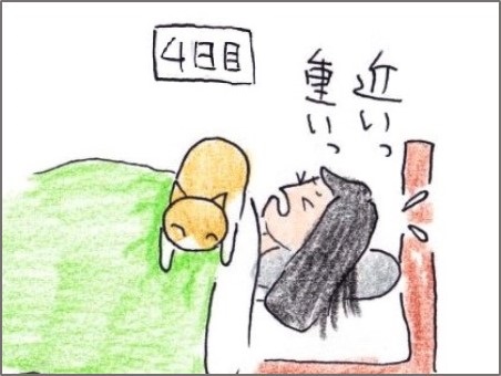 f:id:chai-ko:20191006194546j:plain