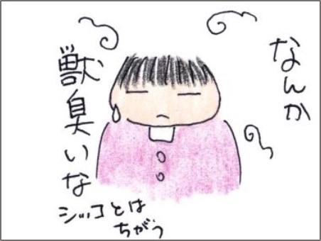 f:id:chai-ko:20191019203912j:plain