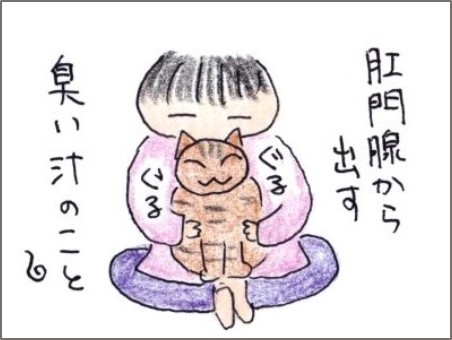 f:id:chai-ko:20191019203926j:plain
