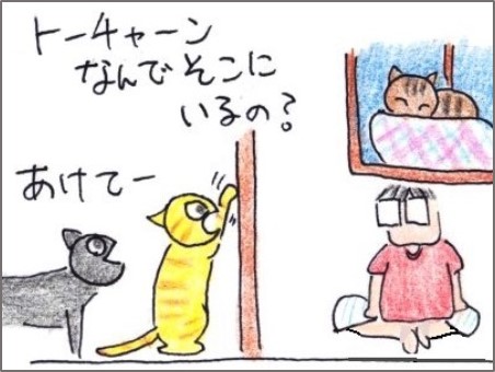 f:id:chai-ko:20191021200627j:plain