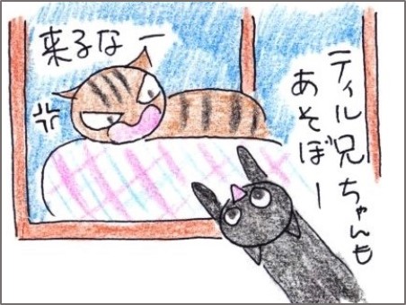 f:id:chai-ko:20191021200637j:plain