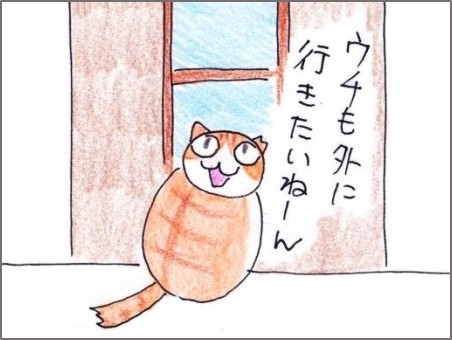 f:id:chai-ko:20191113182529j:plain