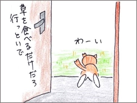 f:id:chai-ko:20191113182531j:plain