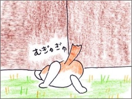 f:id:chai-ko:20191113182538j:plain