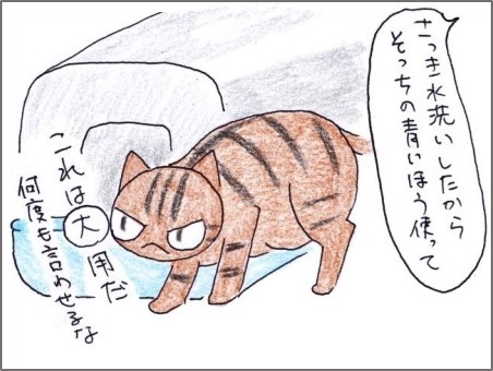 f:id:chai-ko:20191114171610j:plain