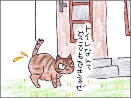 f:id:chai-ko:20191114171615j:plain