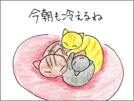 f:id:chai-ko:20191117184048j:plain