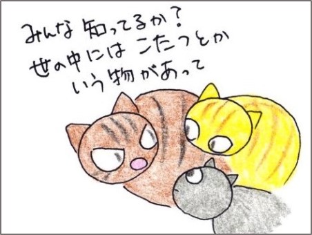 f:id:chai-ko:20191117184051j:plain