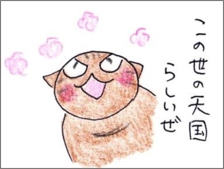 f:id:chai-ko:20191117184053j:plain