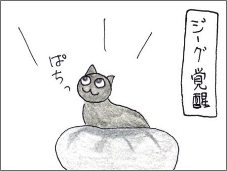 f:id:chai-ko:20191119194519j:plain
