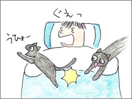 f:id:chai-ko:20191119194524j:plain