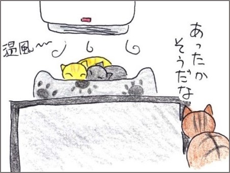 f:id:chai-ko:20191218192419j:plain