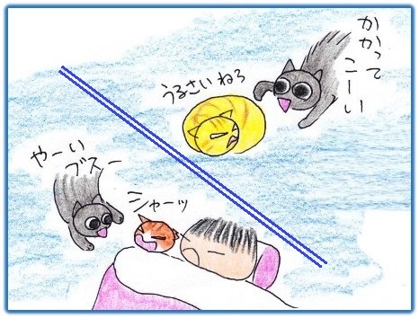 f:id:chai-ko:20200125192324j:plain