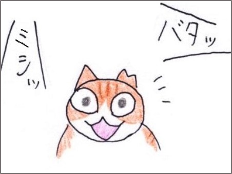 f:id:chai-ko:20200130194805j:plain