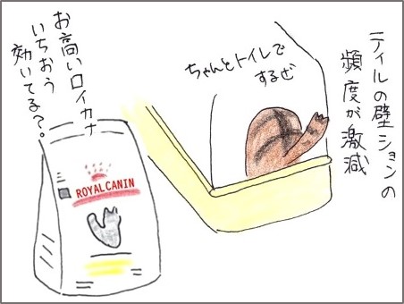 f:id:chai-ko:20200201205028j:plain