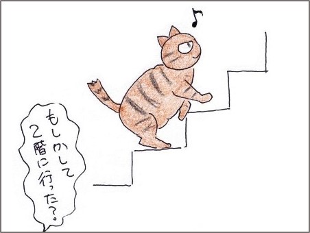 f:id:chai-ko:20200201205033j:plain