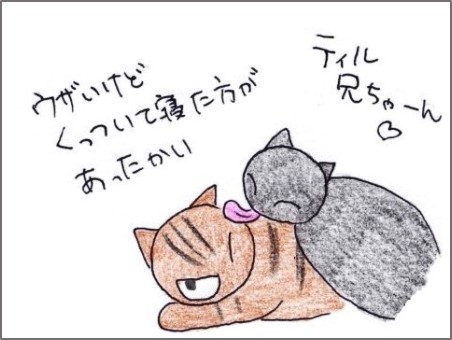 f:id:chai-ko:20200207202746j:plain
