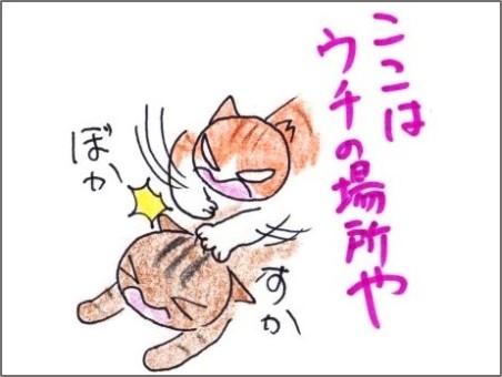 f:id:chai-ko:20200215200227j:plain