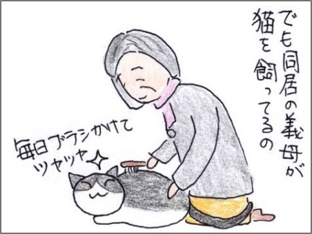 f:id:chai-ko:20200301184511j:plain