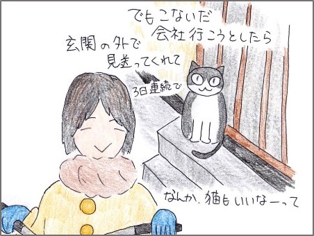 f:id:chai-ko:20200301184516j:plain
