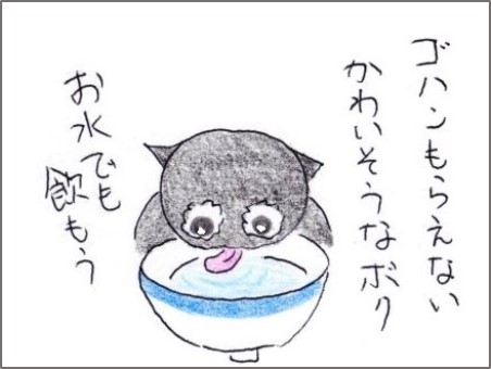 f:id:chai-ko:20200312190601j:plain