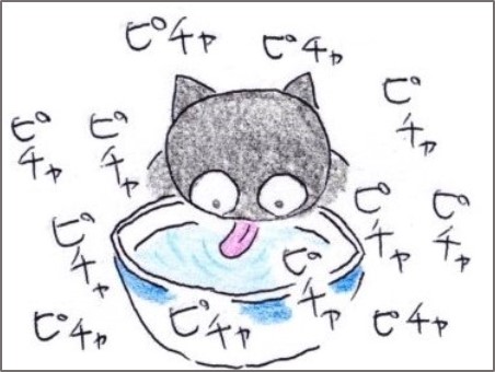 f:id:chai-ko:20200312190602j:plain