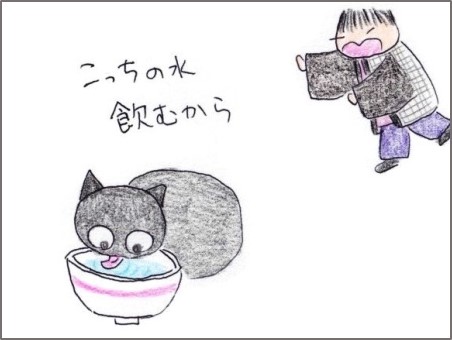 f:id:chai-ko:20200313205502j:plain