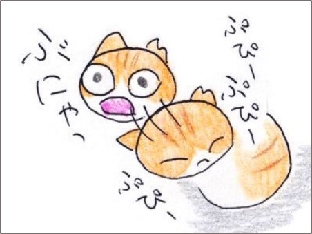 f:id:chai-ko:20200314194802j:plain