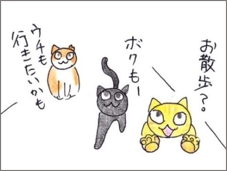 f:id:chai-ko:20200404184931j:plain