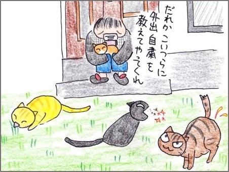 f:id:chai-ko:20200404184932j:plain