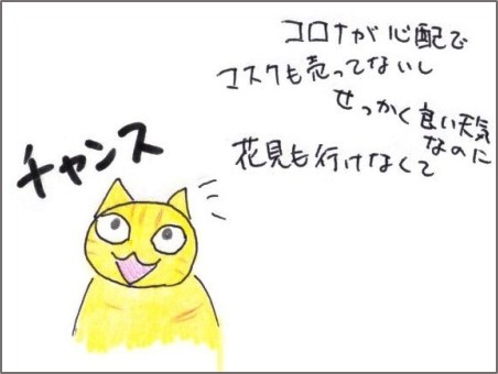 f:id:chai-ko:20200405174854j:plain