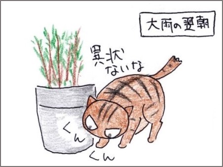 f:id:chai-ko:20200418201036j:plain