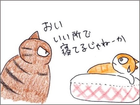 f:id:chai-ko:20200501193537j:plain