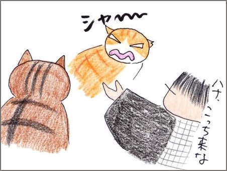 f:id:chai-ko:20200501193539j:plain