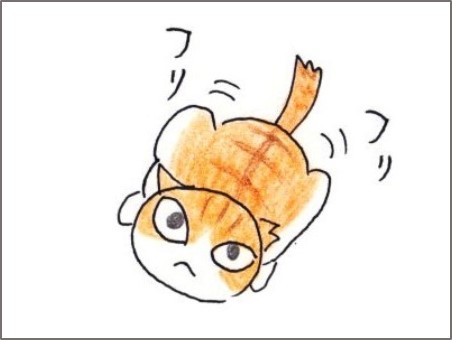 f:id:chai-ko:20200503180514j:plain