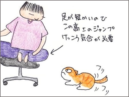 f:id:chai-ko:20200503180517j:plain