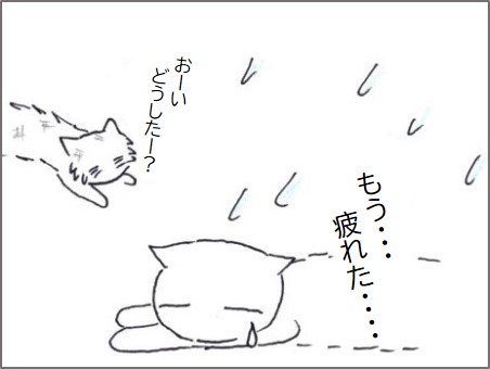 f:id:chai-ko:20200523182233j:plain
